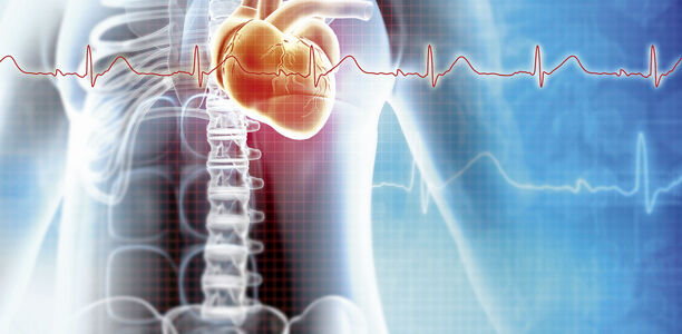 Bild zu Arrhythmie - Diabetes und bradykarde Herzrhythmusstörungen: neue Evidenz für enge Verbindung zwischen Stoffwechselstörung und kardialen Erkrankungen