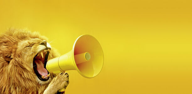 Bild zu Gesetzentwurf - Genug gebrüllt, Löwe!