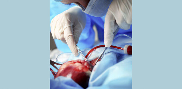 Bild zu Organspende - Warten auf Herztransplantation