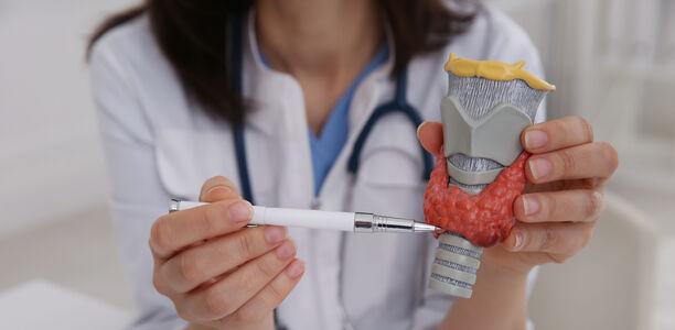 Bild zu Fortbildung - Diabetes und Erkrankungen der Schilddrüse
