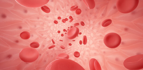 Bild zu Schwerpunkt „Glukosemanagement“ - Blut-/Gewebezuckerkontrolle: ein Überblick