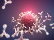 Bild zu Corona-Pandemie - Virologen fordern rasche Investitionen in Antikörperdiagnostik