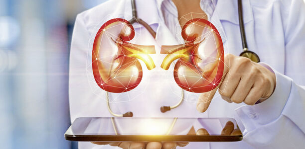 Bild zu Weltnierentag am 14. März 2024 - Bei Diabetes Typ 1 und Typ 2 regelmäßig Nierenfunktion kontrollieren