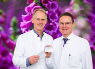 Bild zu Fingerhut-Wirkstoff - Digitoxin verbessert Prognose bei Herzinsuffizienz