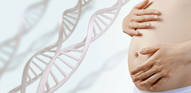 Bild zu Schwerpunkt "Diabetesforschung" - Einflussreich: mütterlicher Schutzfaktor