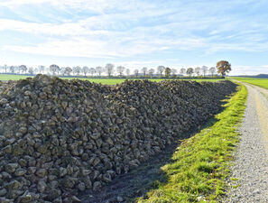 Bild zu Gesundheitspolitik - Norddeutsche Tiefebene