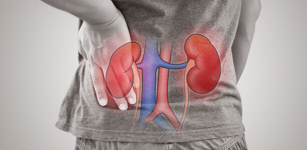 Bild zu DHG - Cardiovascular-Kidney-Metabolic-Syndrome: alter Wein in neuen Schläuchen