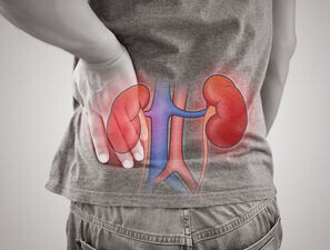 Bild zu DHG - Cardiovascular-Kidney-Metabolic-Syndrome